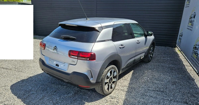 Citroen C4 Cactus cena 32900 przebieg: 79898, rok produkcji 2019 z Dęblin małe 326